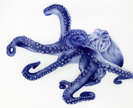 octopus_lge