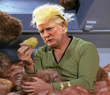 trump tribble